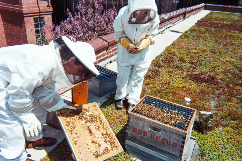 The Cheese Hole: un día en la vida de un quesero de Brooklyn