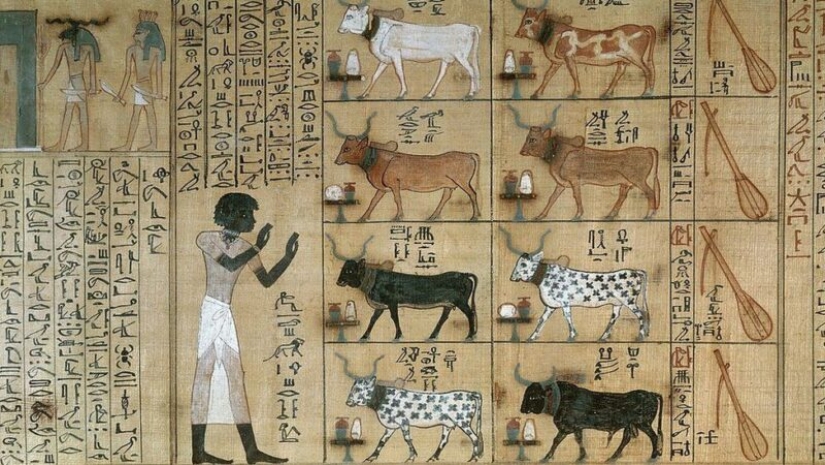 The Court in Ancient Egypt: how to punish for various crimes in the time of the pharaohs The Court in Ancient Egypt: how to punish for various crimes in the time of the pharaohs