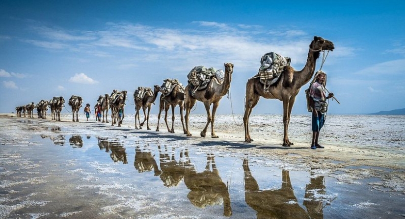 The Djibouti Phenomenon: Why the Poor Country Is Unaffordable for Ordinary Tourists