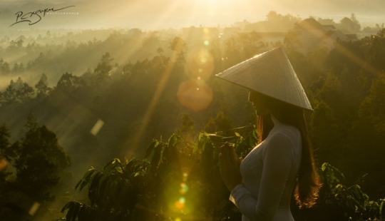 The enchanting beauty of Vietnam