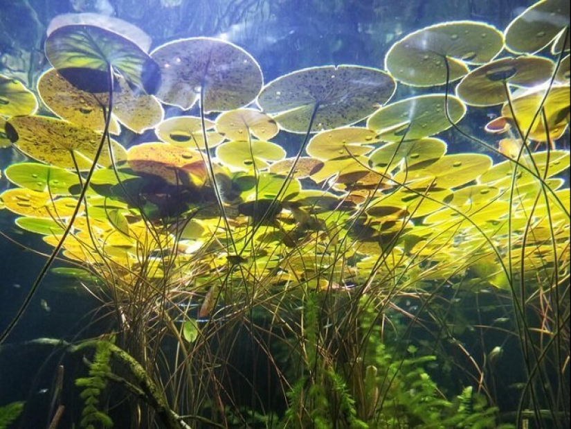 The familiar world shown with an unusual angle The familiar world shown with an unusual angle