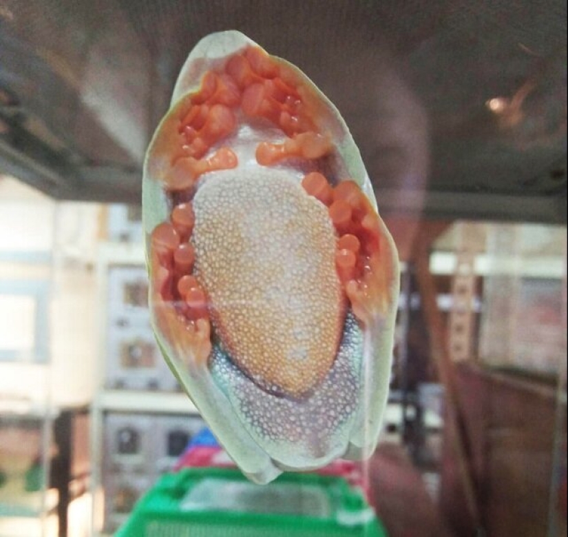 The familiar world shown with an unusual angle The familiar world shown with an unusual angle