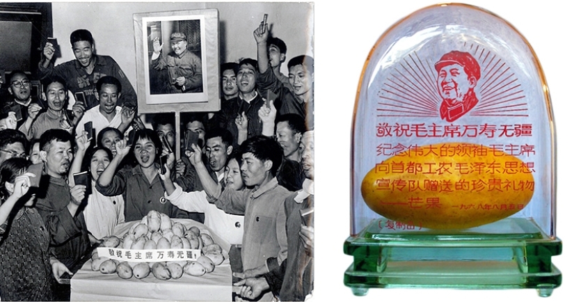 The gift of the "Great helmsman" or As China struck mango madness The gift of the "Great helmsman" or As China struck mango madness