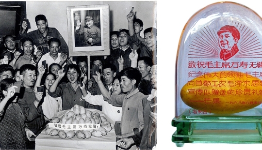 The gift of the "Great helmsman" or As China struck mango madness The gift of the "Great helmsman" or As China struck mango madness