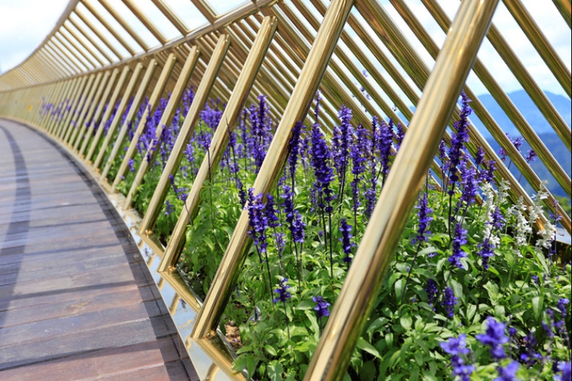 The Golden Bridge in Da Nang is a place in Vietnam that everyone needs to see The Golden Bridge in Da Nang is a place in Vietnam that everyone needs to see