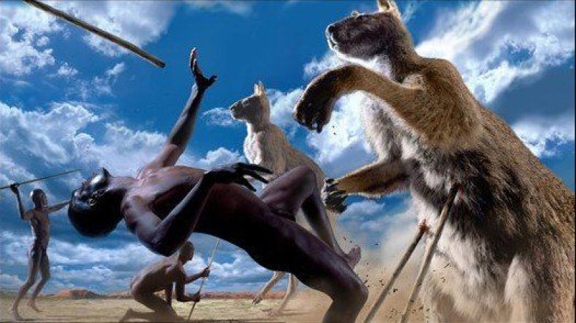 The hoofed kangaroo procoptodon is an extinct giant of Australia The hoofed kangaroo procoptodon is an extinct giant of Australia