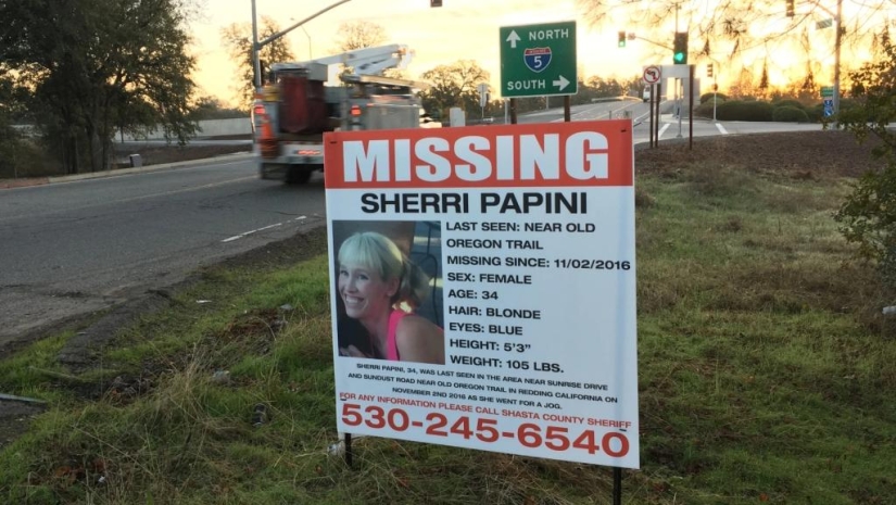 The Kidnapping of Sherry Papini: The Story of a Crime That Never Happened