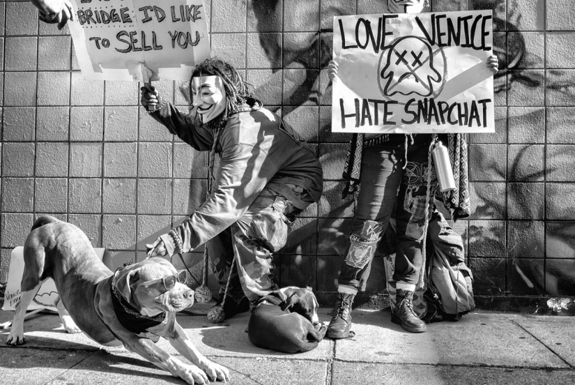 The last days of Bohemian paradise: crazy Venice beach in the lens of an Israeli photographer The last days of Bohemian paradise: crazy Venice beach in the lens of an Israeli photographer