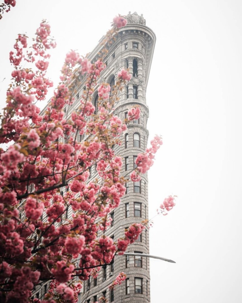 The lights of the Big Apple: an unusual look at new York