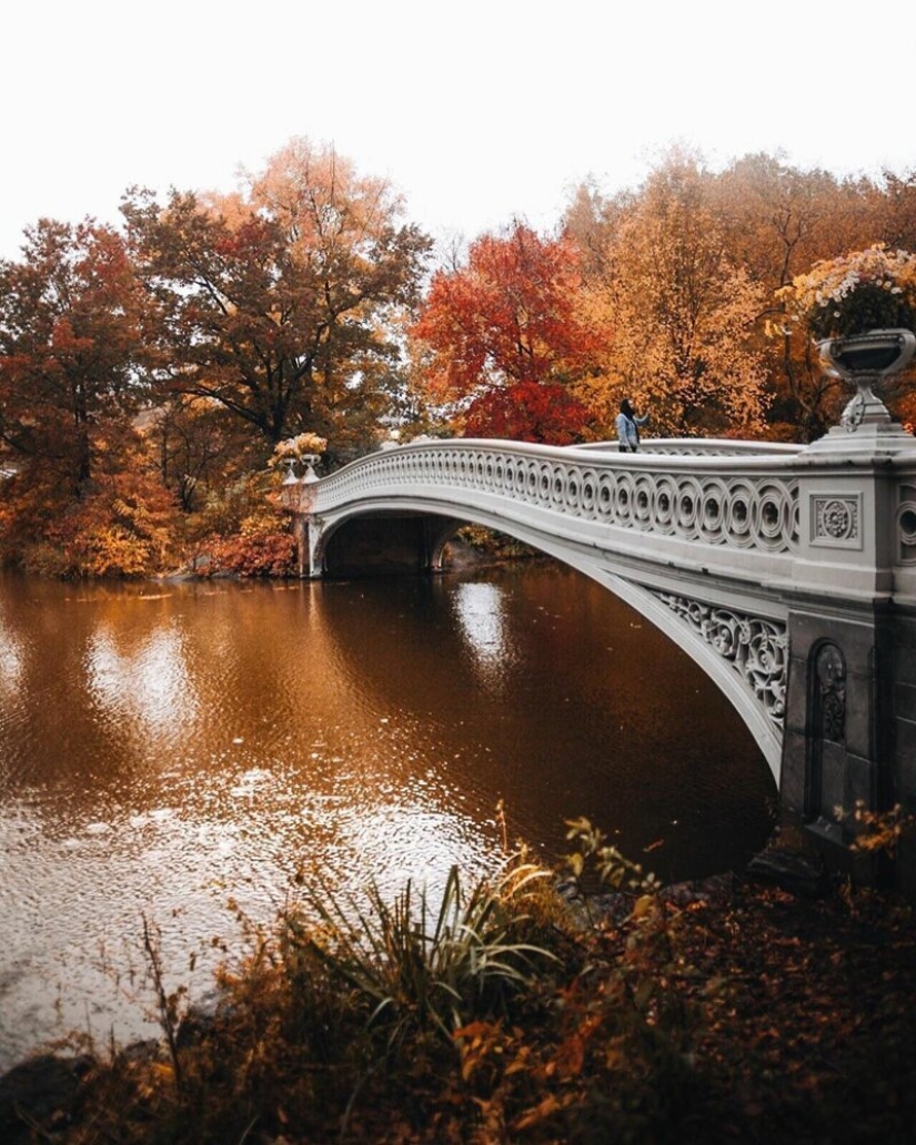 The lights of the Big Apple: an unusual look at new York