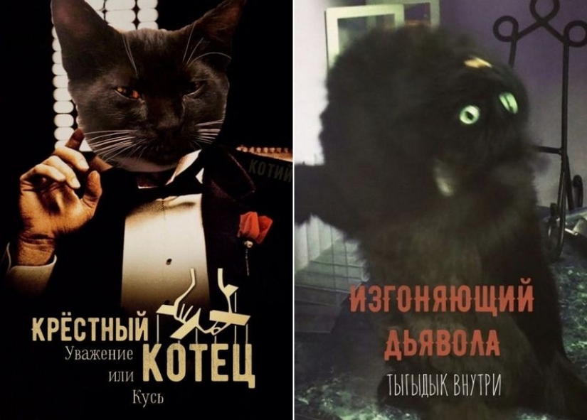 The Lord gets the last of the trays Kus! Posters of box office hits with cats in the lead roles