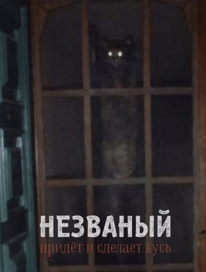 The Lord gets the last of the trays Kus! Posters of box office hits with cats in the lead roles