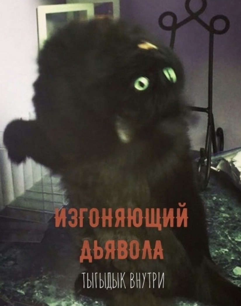 The Lord gets the last of the trays Kus! Posters of box office hits with cats in the lead roles