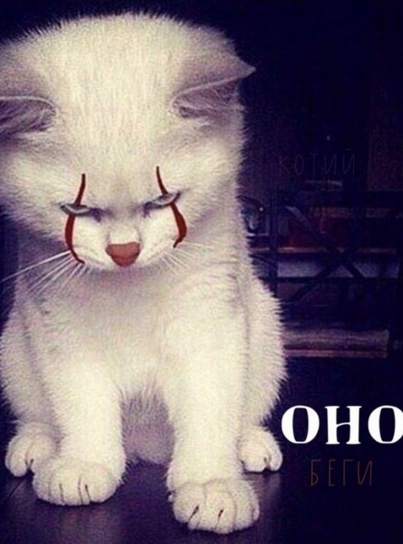 The Lord gets the last of the trays Kus! Posters of box office hits with cats in the lead roles