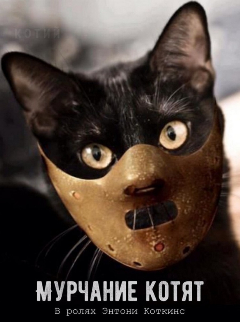 The Lord gets the last of the trays Kus! Posters of box office hits with cats in the lead roles