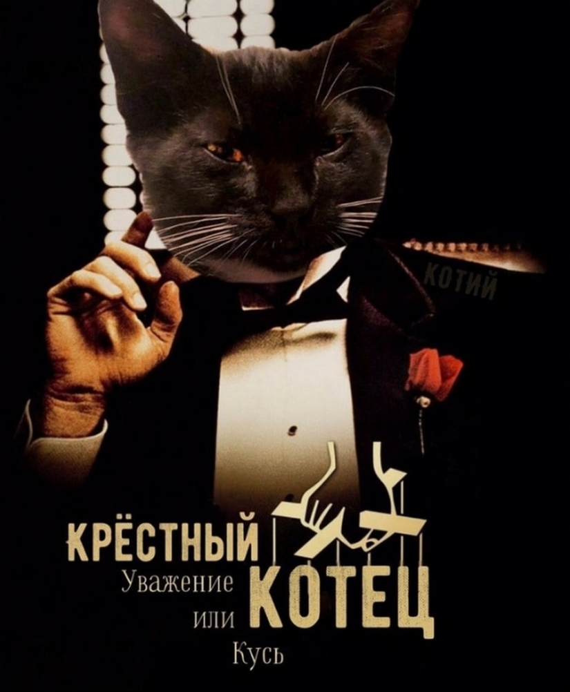 The Lord gets the last of the trays Kus! Posters of box office hits with cats in the lead roles