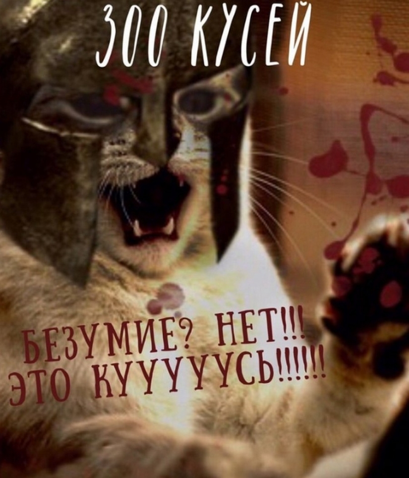 The Lord gets the last of the trays Kus! Posters of box office hits with cats in the lead roles