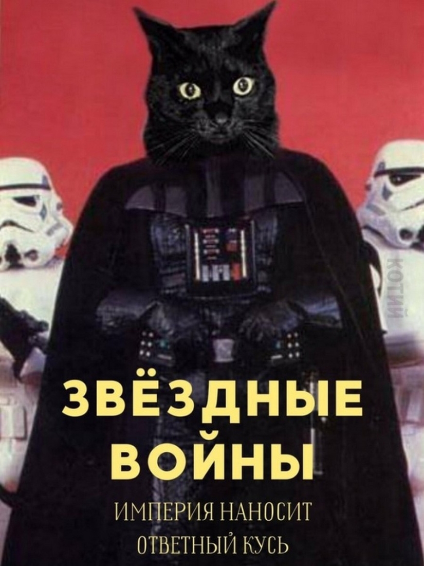 The Lord gets the last of the trays Kus! Posters of box office hits with cats in the lead roles