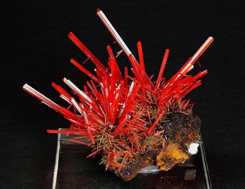 The most amazing minerals The most amazing minerals