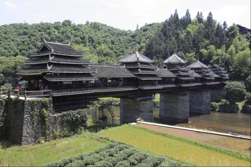 The most beautiful footbridges in the world