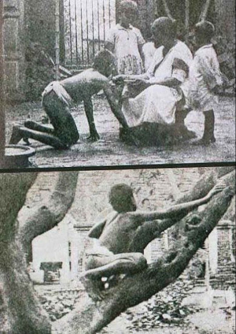 The most famous child Mowgli: what happened to kids who grew up among animals