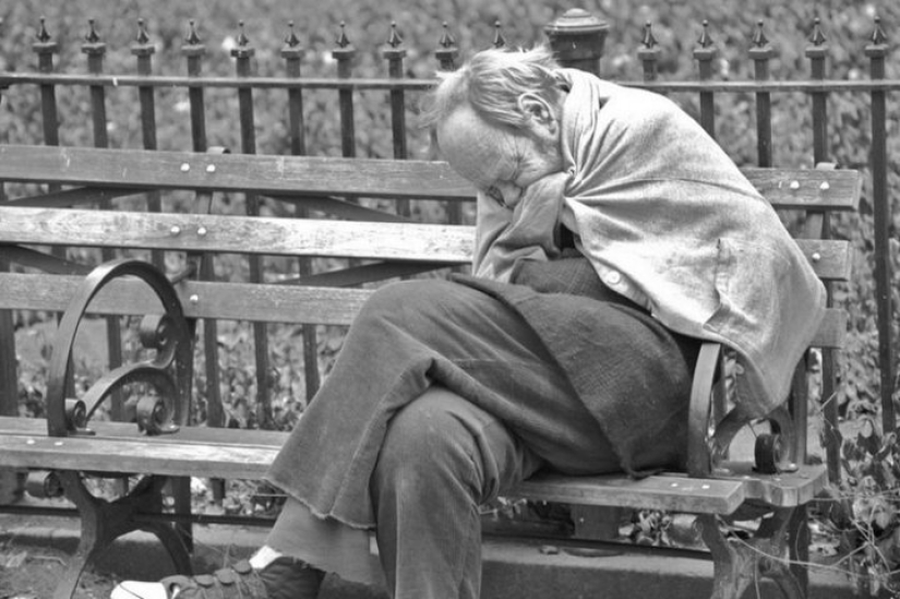 The most incredible cases of inheritance The most incredible cases of inheritance