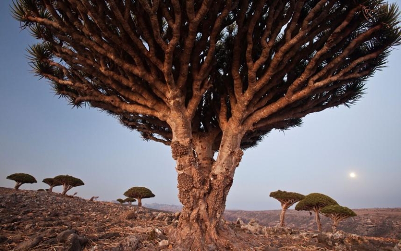 The most surreal landscapes of our planet The most surreal landscapes of our planet