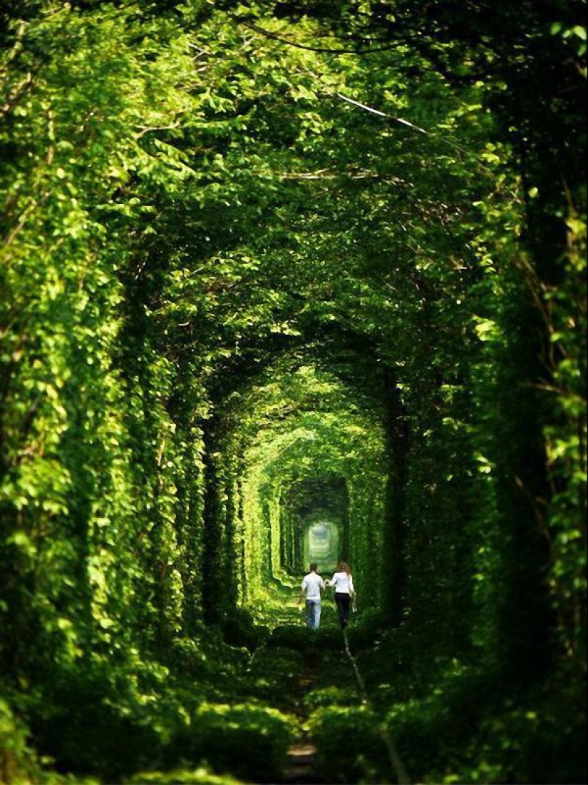 The most surreal landscapes of our planet The most surreal landscapes of our planet