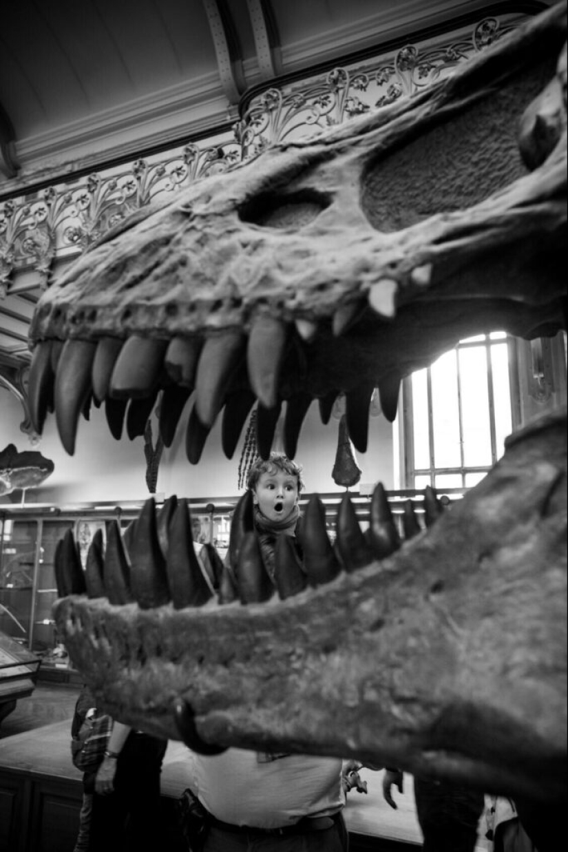 The Other Side of the Beautiful Gérard Ufères: Behind the Scenes of Theaters, Museum Masterpieces, and Their Connoisseurs The Other Side of the Beautiful Gérard Ufères: Behind the Scenes of Theaters, Museum Masterpieces, and Their Connoisseurs