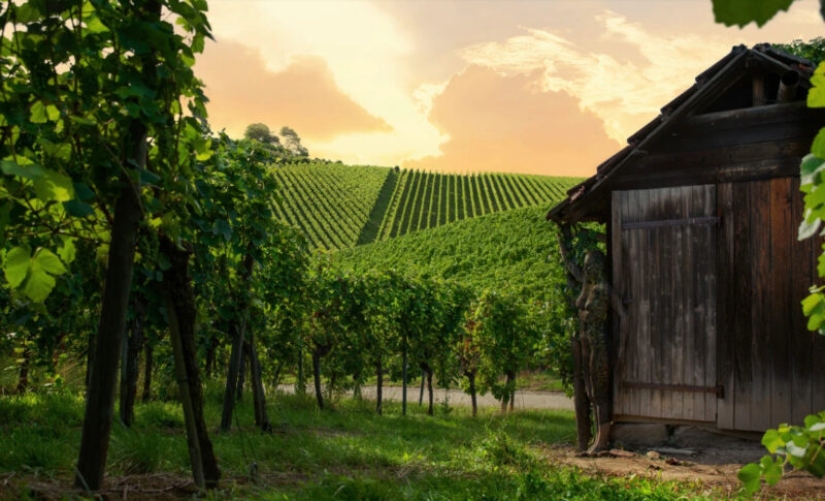 The photographer hides nude models in his landscape works. Can you find them? The photographer hides nude models in his landscape works. Can you find them?