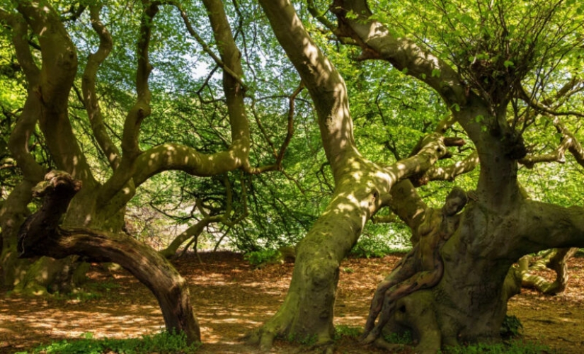 The photographer hides nude models in his landscape works. Can you find them? The photographer hides nude models in his landscape works. Can you find them?