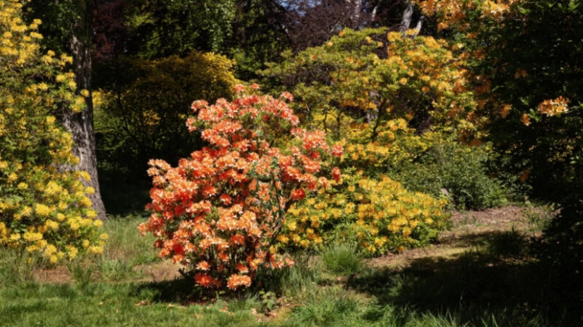 The photographer hides nude models in his landscape works. Can you find them? The photographer hides nude models in his landscape works. Can you find them?