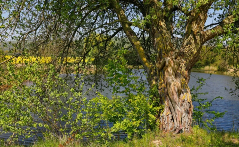 The photographer hides nude models in his landscape works. Can you find them? The photographer hides nude models in his landscape works. Can you find them?