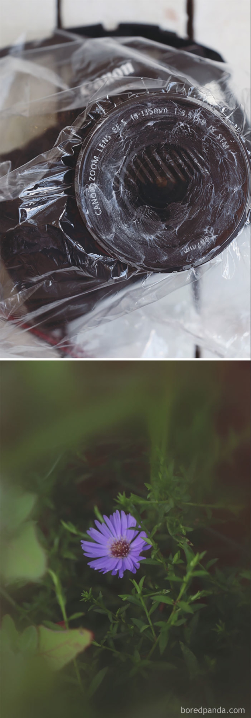 The photographer himself: 18 simplest life hacks that will make you the god of photography