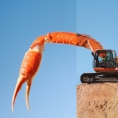 The photographer simply combines two pictures and gets a damn cool result!