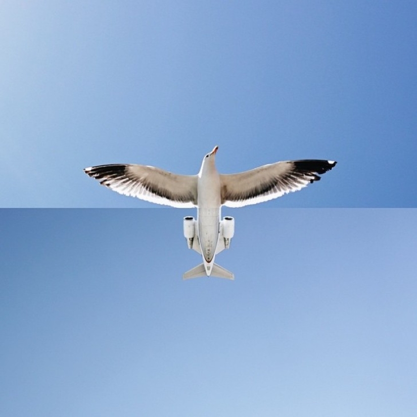 The photographer simply combines two pictures and gets a damn cool result! The photographer simply combines two pictures and gets a damn cool result!