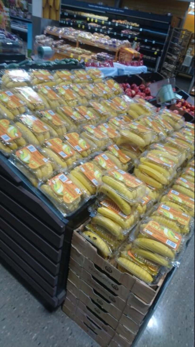 The plastic world has won: 22 examples of how diligently people destroy the planet with plastic The plastic world has won: 22 examples of how diligently people destroy the planet with plastic