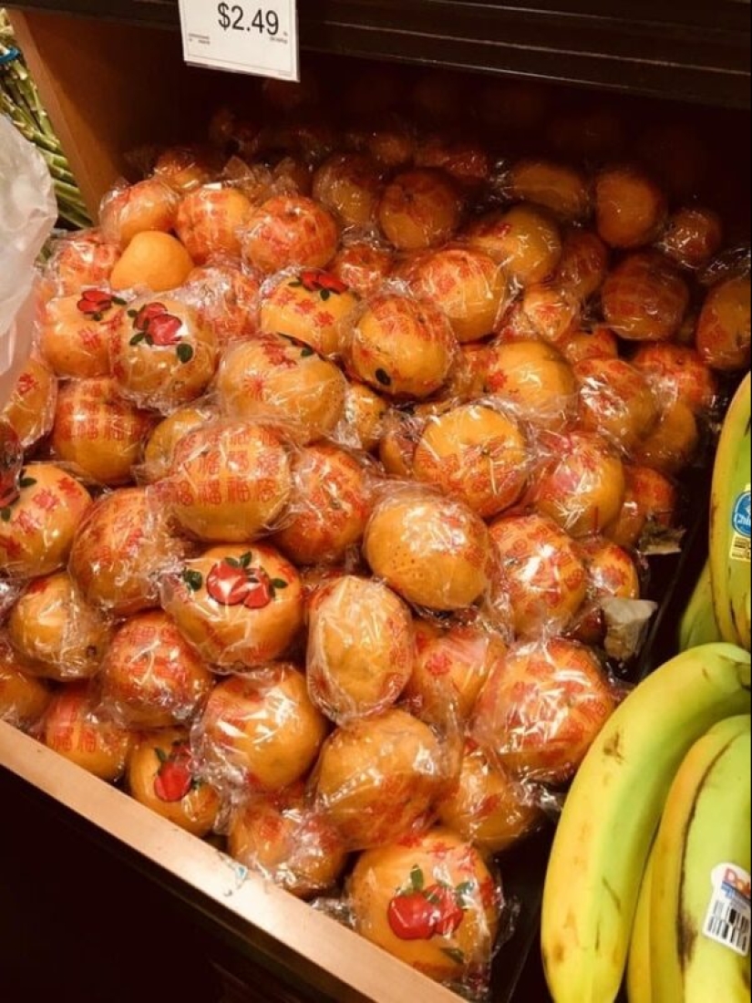 The plastic world has won: 22 examples of how diligently people destroy the planet with plastic The plastic world has won: 22 examples of how diligently people destroy the planet with plastic