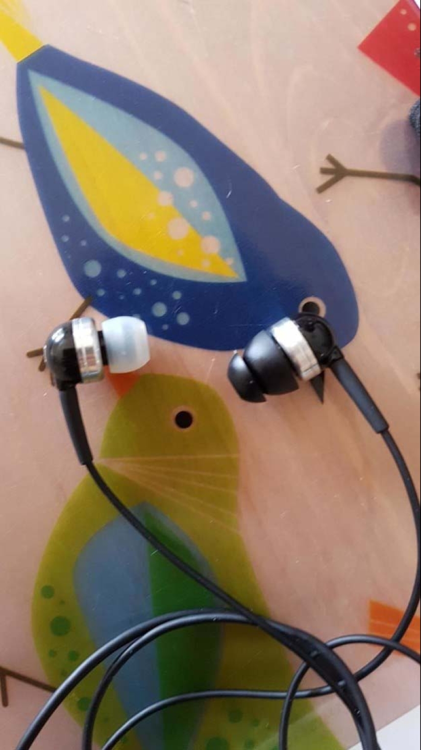 The post after viewing which perfectionists will go to jump from the bridge The post after viewing which perfectionists will go to jump from the bridge