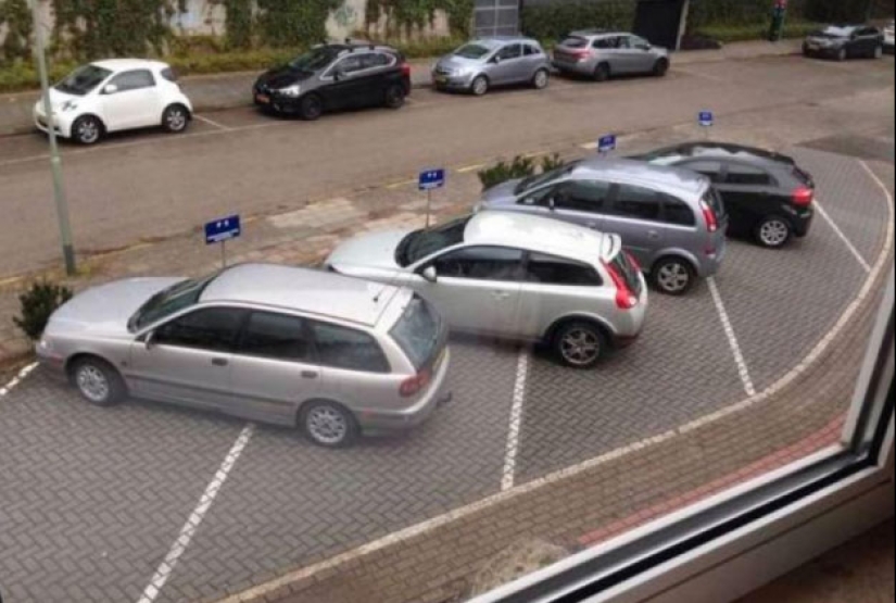 The post after viewing which perfectionists will go to jump from the bridge The post after viewing which perfectionists will go to jump from the bridge