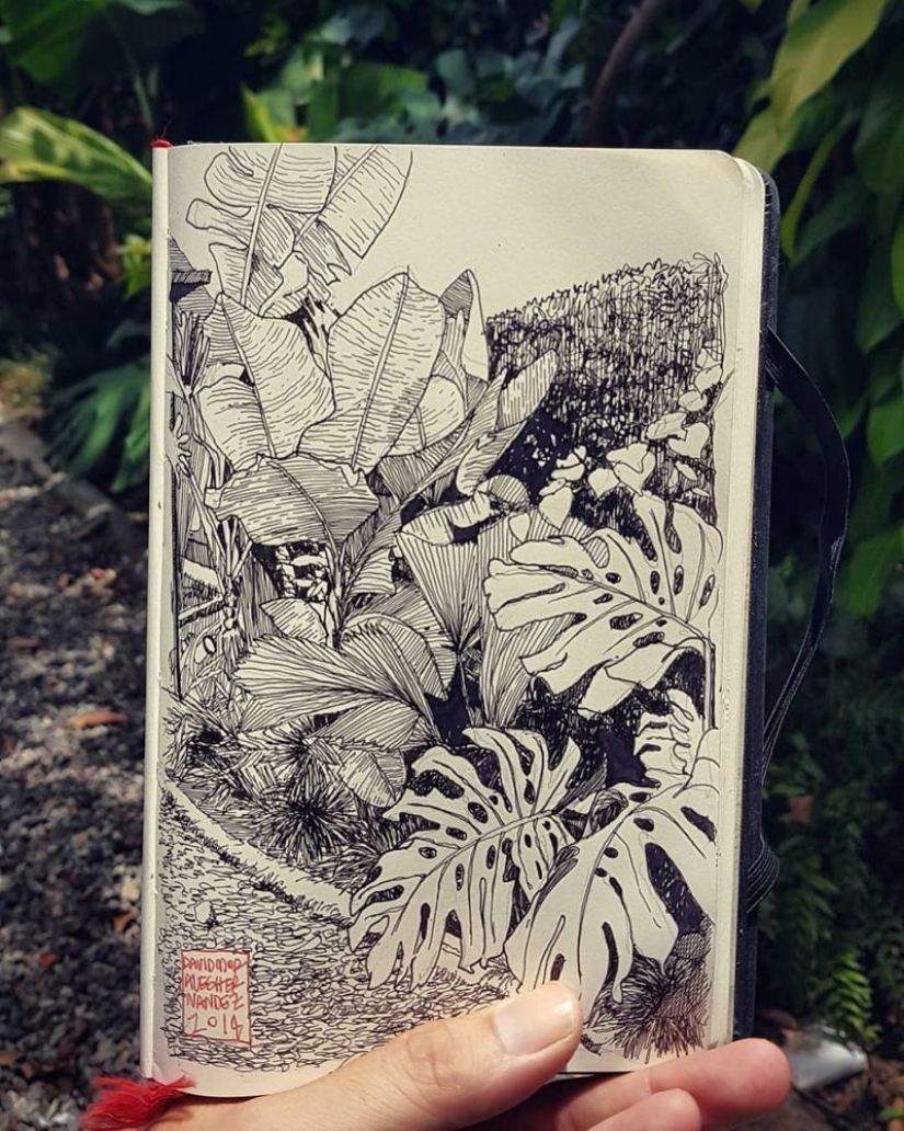 The reality is transferred to the paper: the incredible sketches of the architect from Colombia