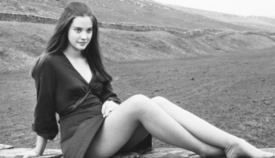 The Rise and Fall of Lynn Frederick, Hollywood's "English Rose"