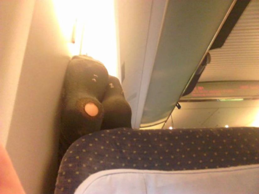 The scariest plane companions you can imagine The scariest plane companions you can imagine