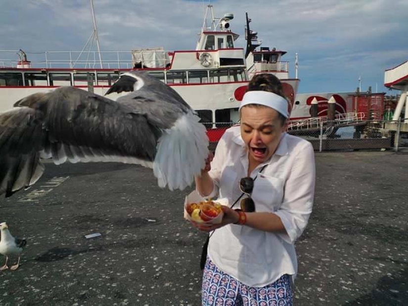 The second that changes everything! 28 photos taken at the right moment The second that changes everything! 28 photos taken at the right moment