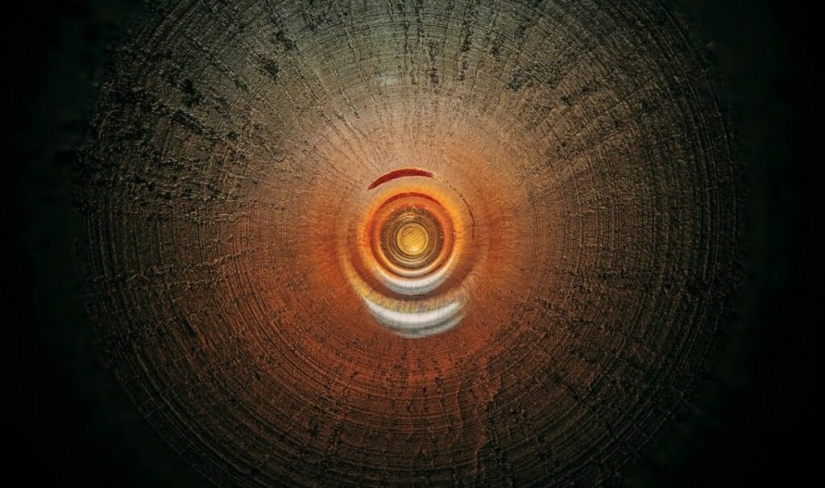 The Secrets of Musical Instruments Through the Lens of a Brilliant Photographer