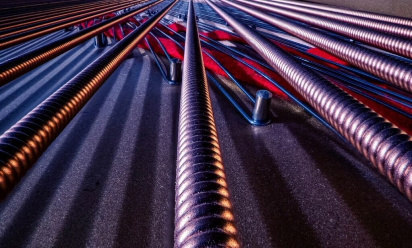 The Secrets of Musical Instruments Through the Lens of a Brilliant Photographer