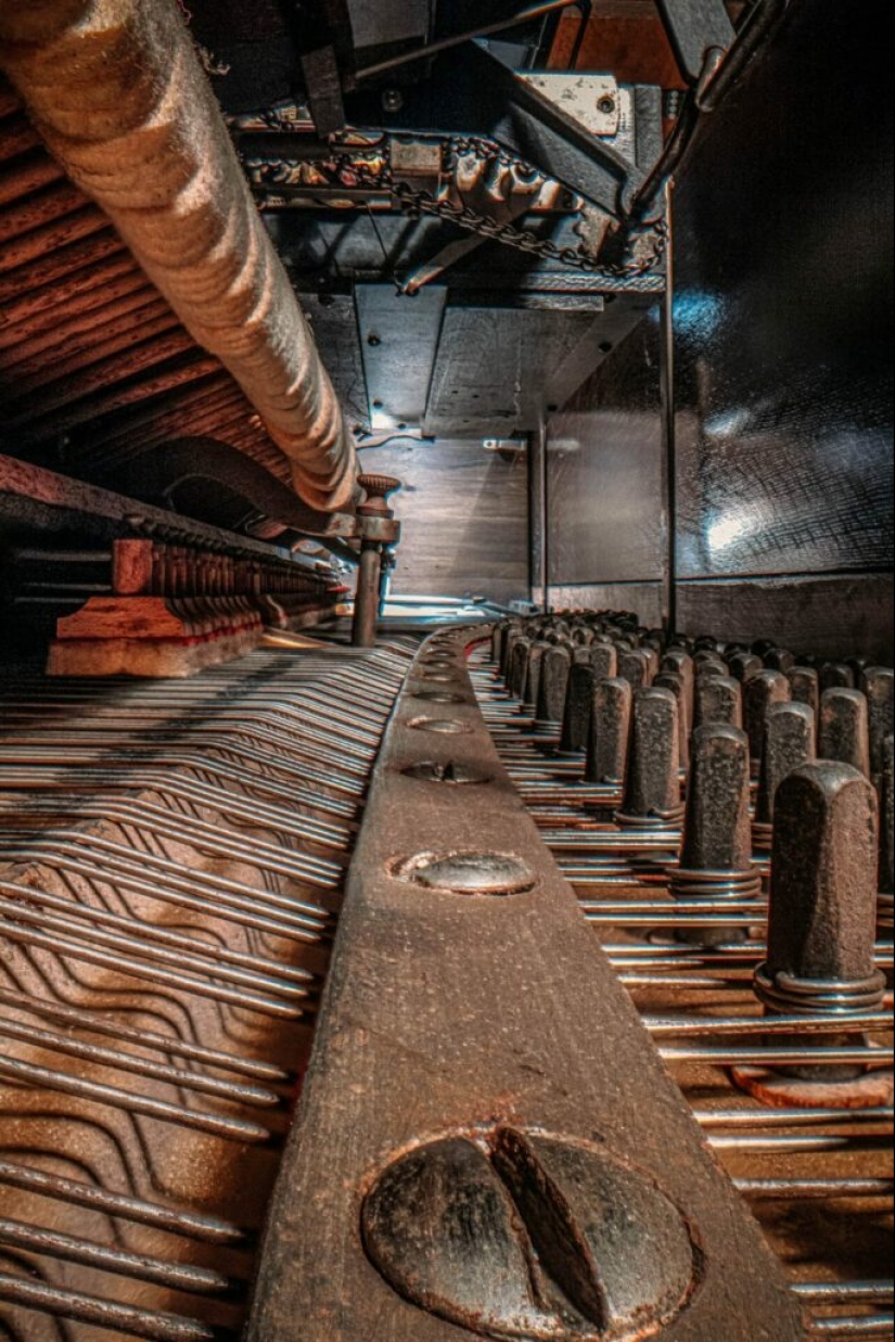 The Secrets of Musical Instruments Through the Lens of a Brilliant Photographer