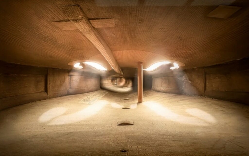 The Secrets of Musical Instruments Through the Lens of a Brilliant Photographer