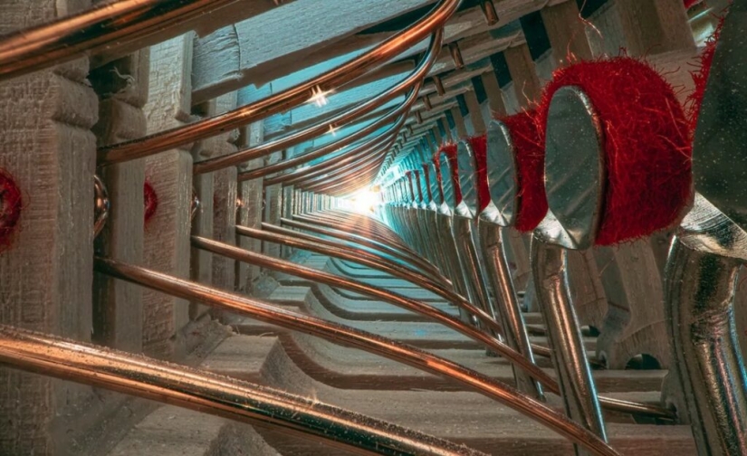 The Secrets of Musical Instruments Through the Lens of a Brilliant Photographer