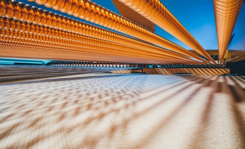 The Secrets of Musical Instruments Through the Lens of a Brilliant Photographer